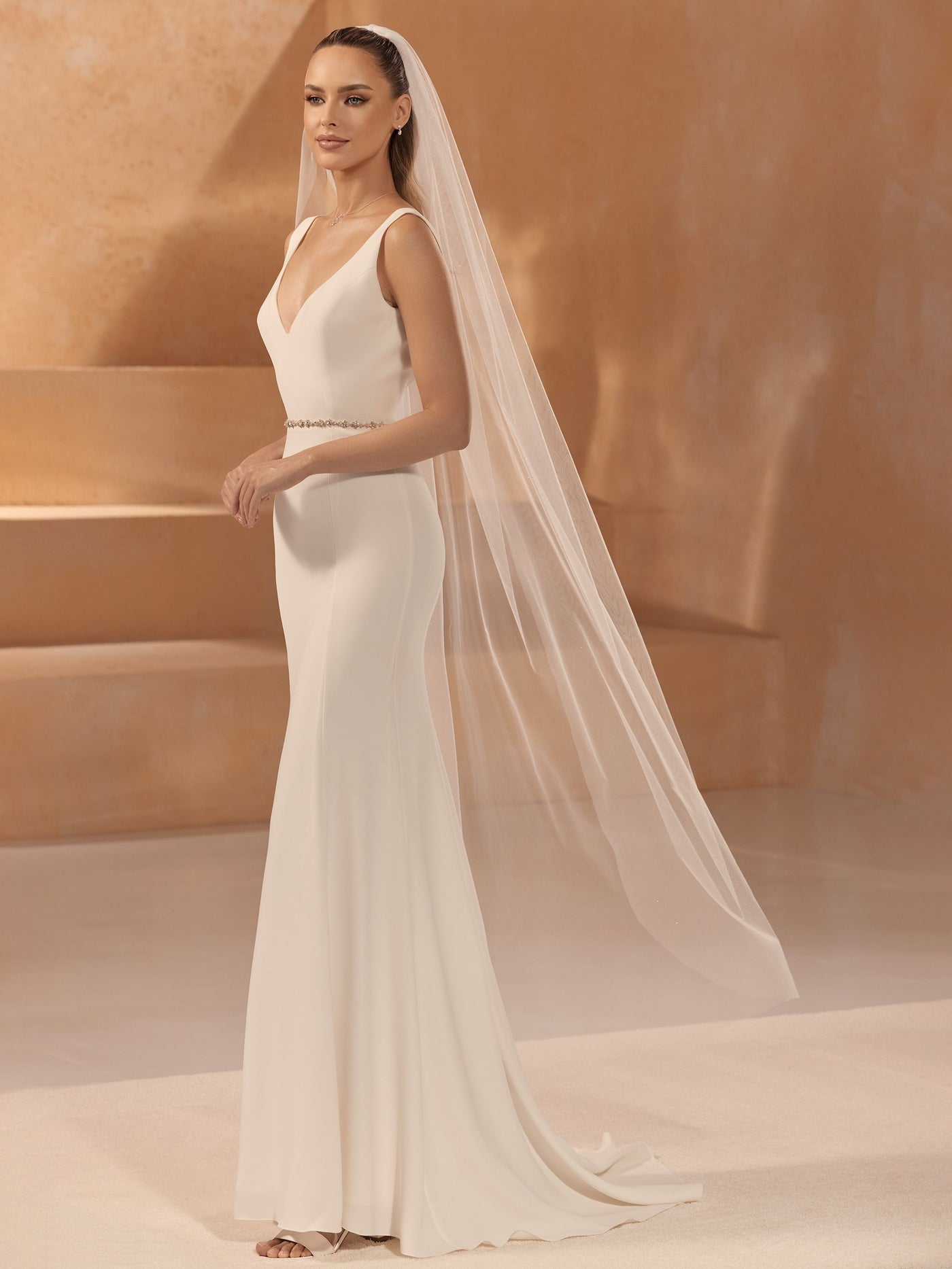 Veil S481