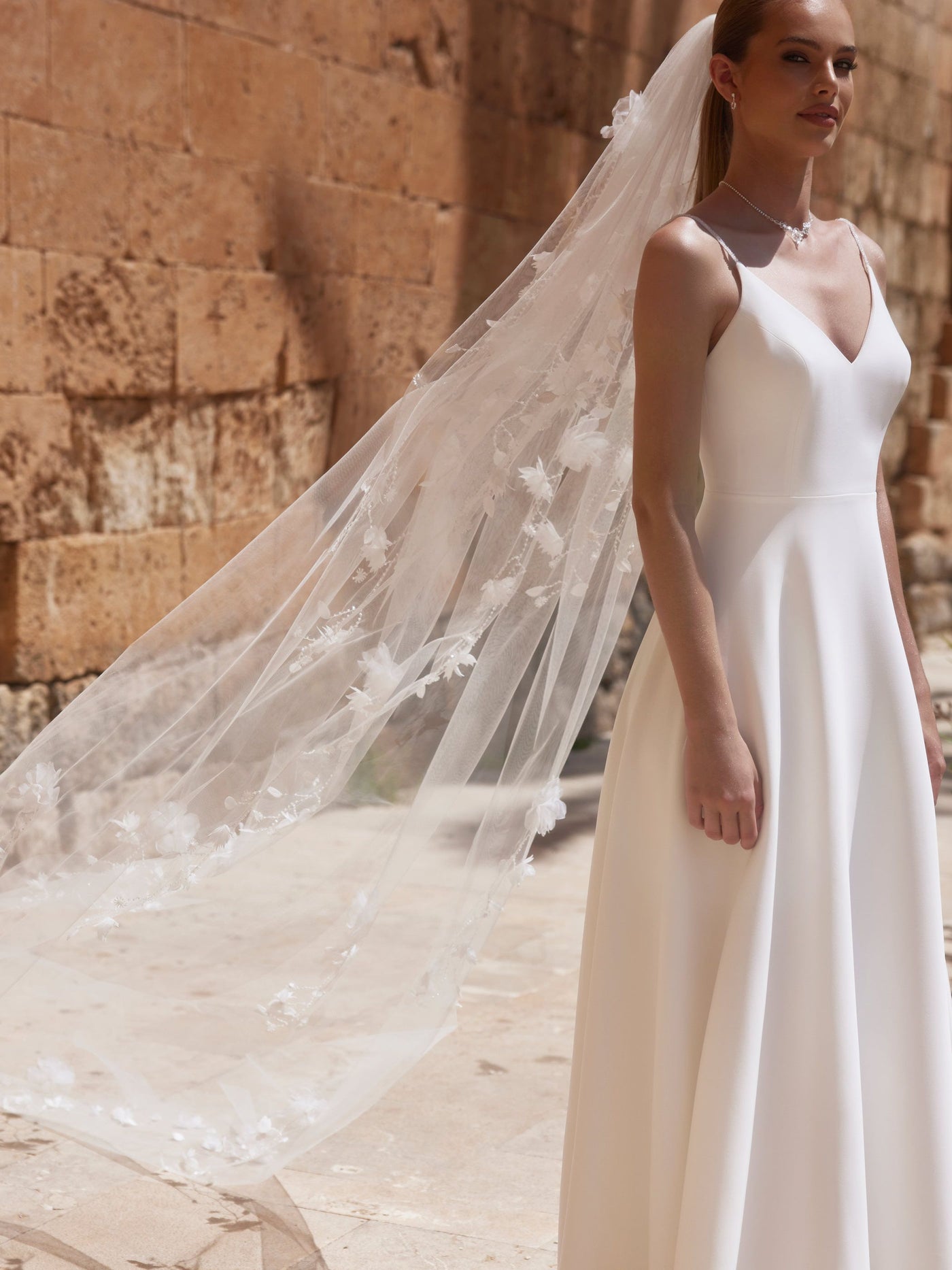 Veil S520